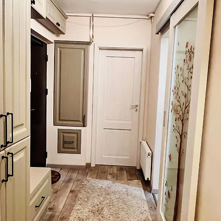 Apartment Meg's Cozy