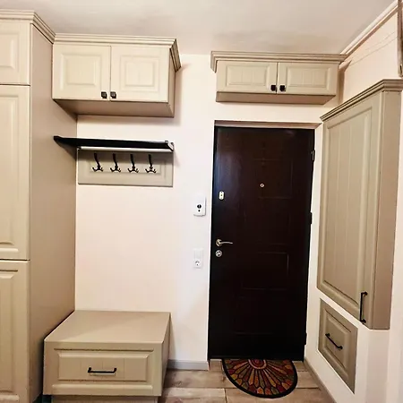 Meg's Cozy Apartment